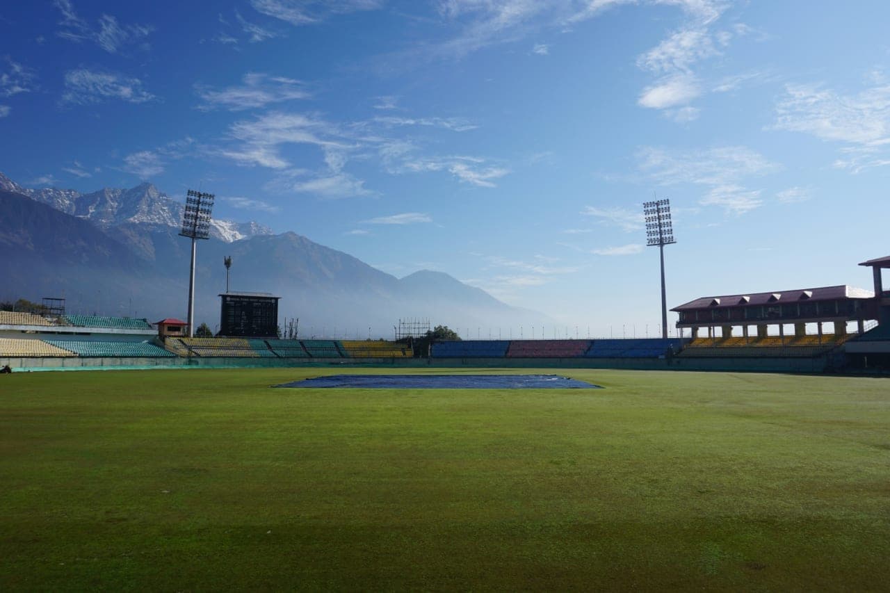 MAP Turf
